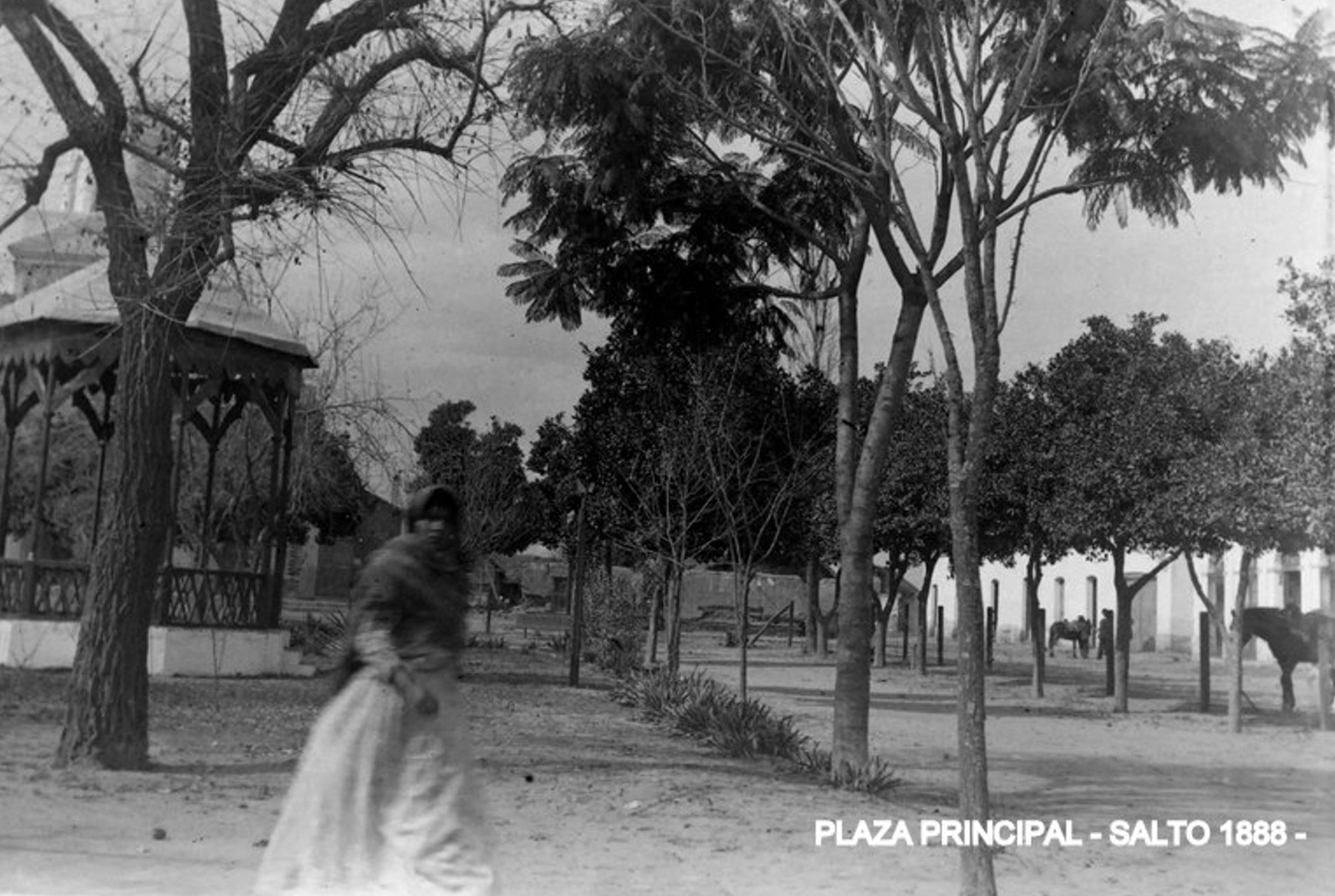 Pileta Central